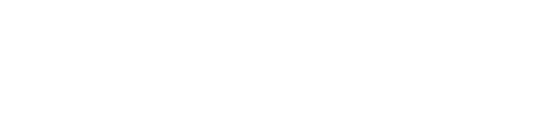 Platinum Logo